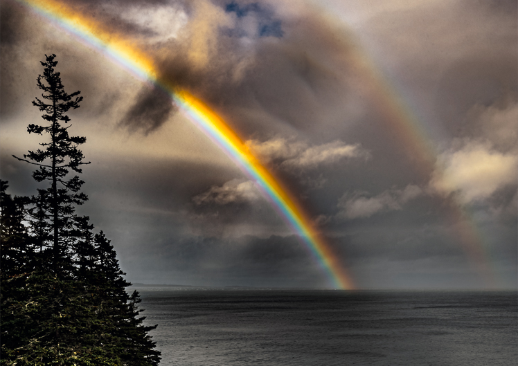 Acadia Rainbow